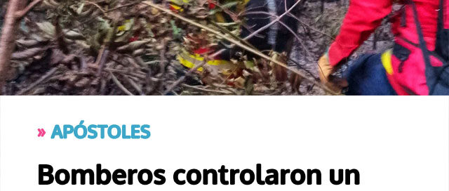 Bomberos controlaron un incendio de malezas que generó alarma en un barrio residencial