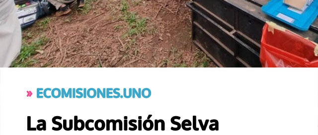 La Subcomisión Selva Paranaense, clave para la conservación del yaguareté en Misiones